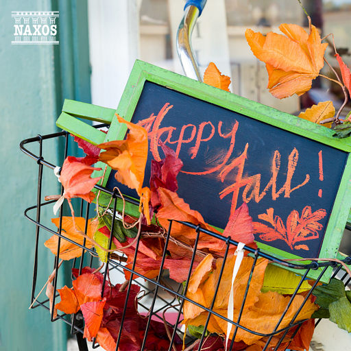 欧美性爱网巜土豆网》
